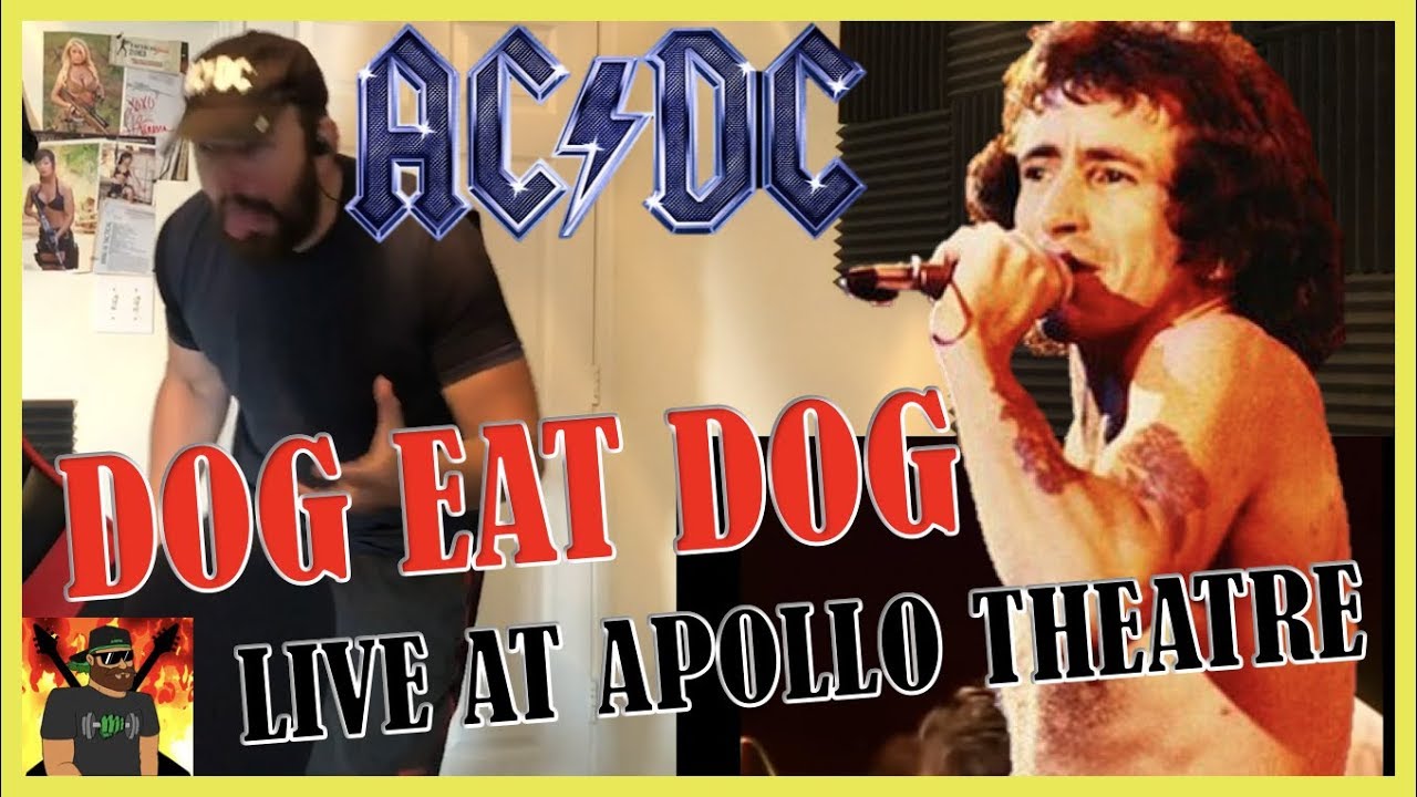 Simple Yet Powerful!! | AC/DC - Dog Eat Dog (from Plug Me In) | REACTIONS