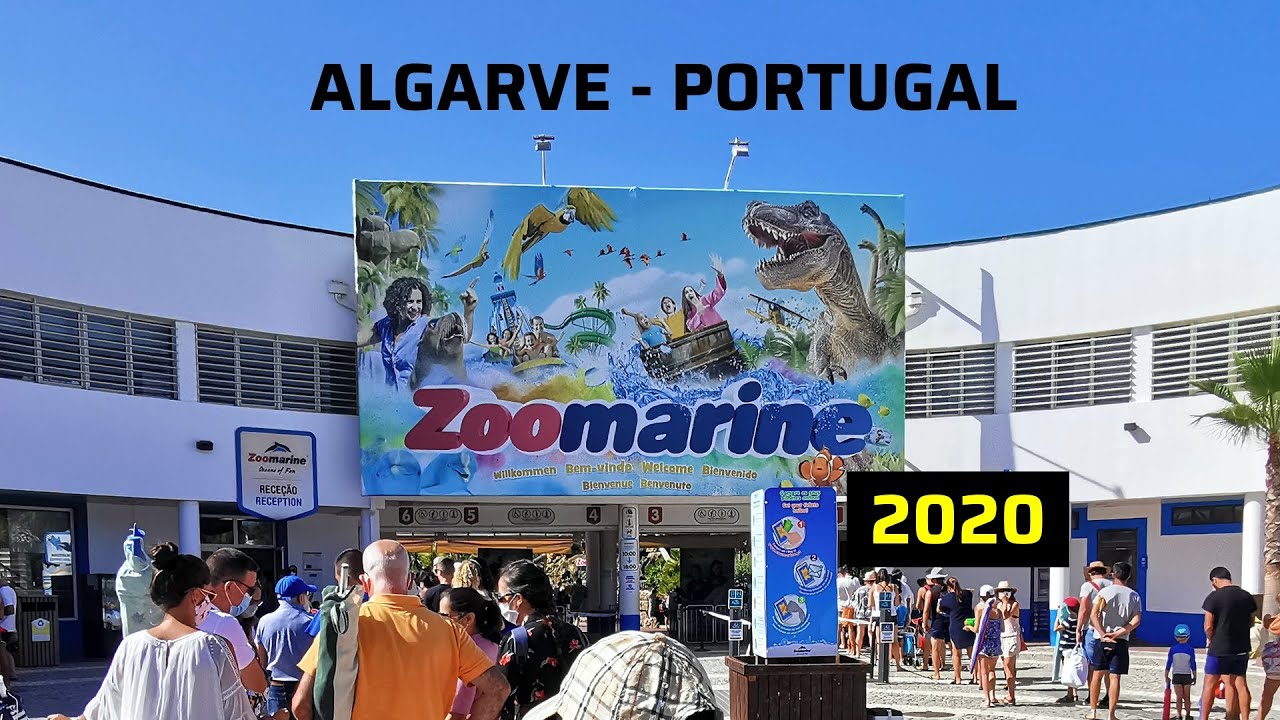 What to do in Portugal - Algarve (Part 2) Zoomarine