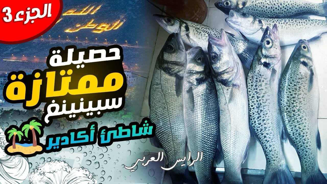 صيد الأسماك درعي او نبيرة ابلاغ اليوم الثالث على التوالي بشاطئ أكادير #fishing #peche #pesca #صيد