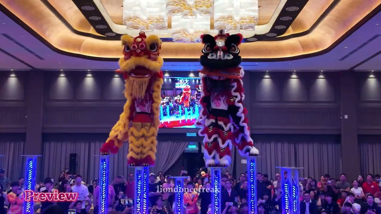 [4K] Double Acrobatic Lion Dance Performance by World Champions 新加坡藝威體育會 Singapore Yi Wei