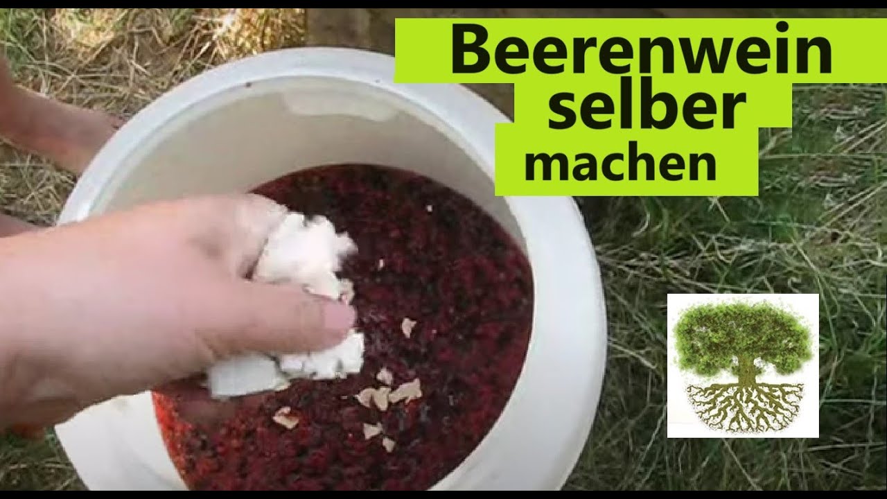 Wein aus Beeren und Obst herstellen - Wein selber machen