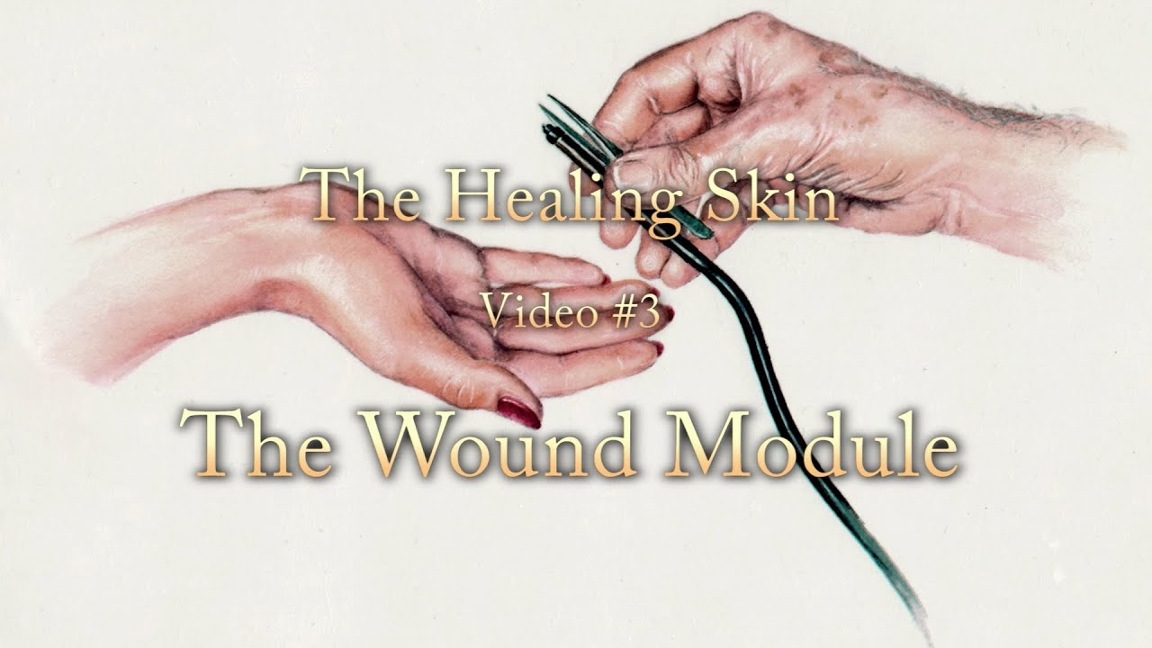 The Healing Skin - Part 3: advanced processes in skin healing