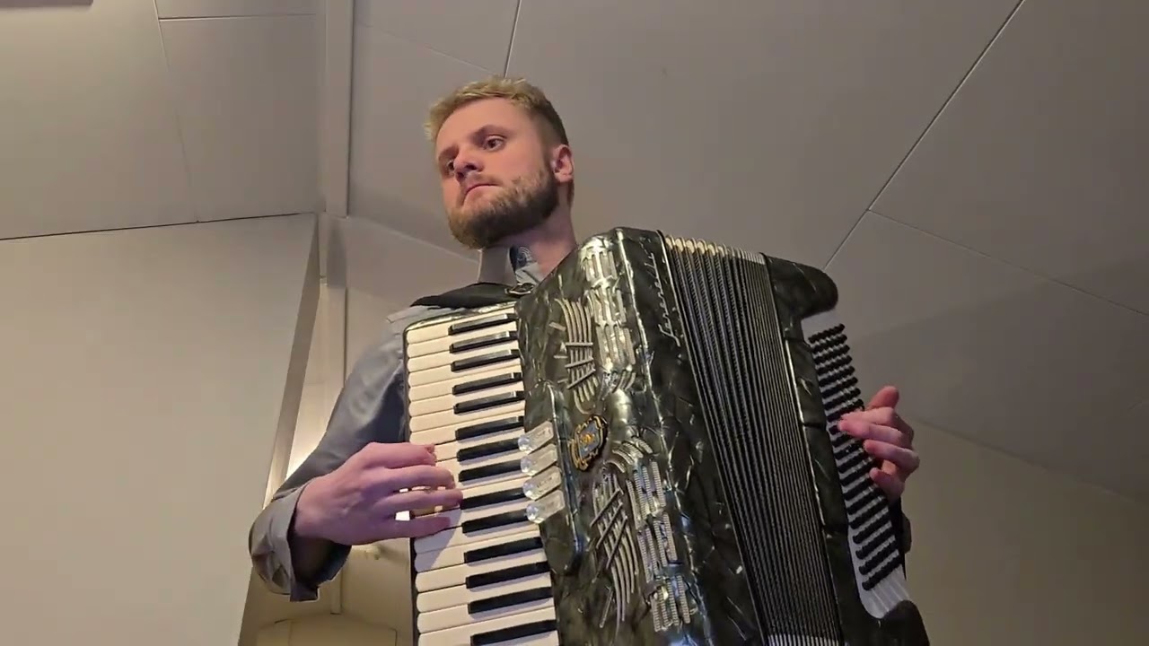 Blink-182 - What's My Age Again - Accordion Cover