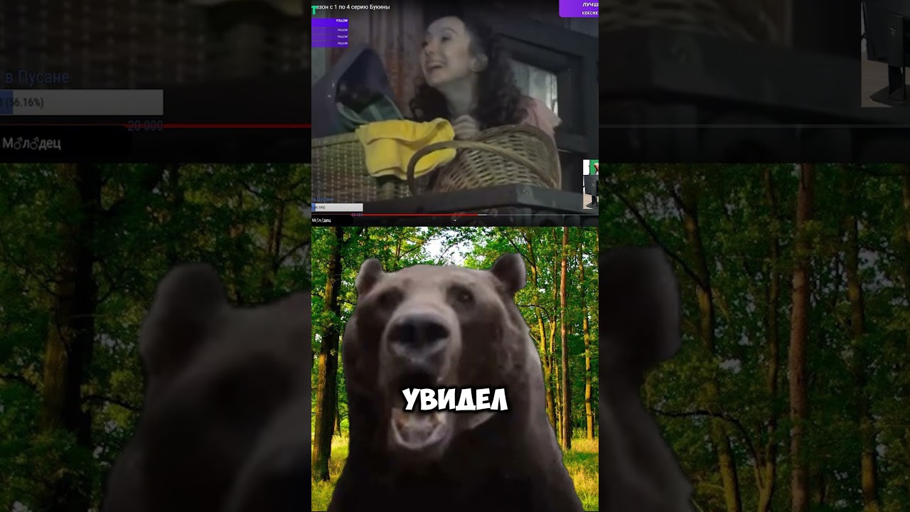 придушили на пляже #dawg #давг #alison #dawgстрим #алисон #dawgdebik #wasd #дадорк #стрим #давгстрим