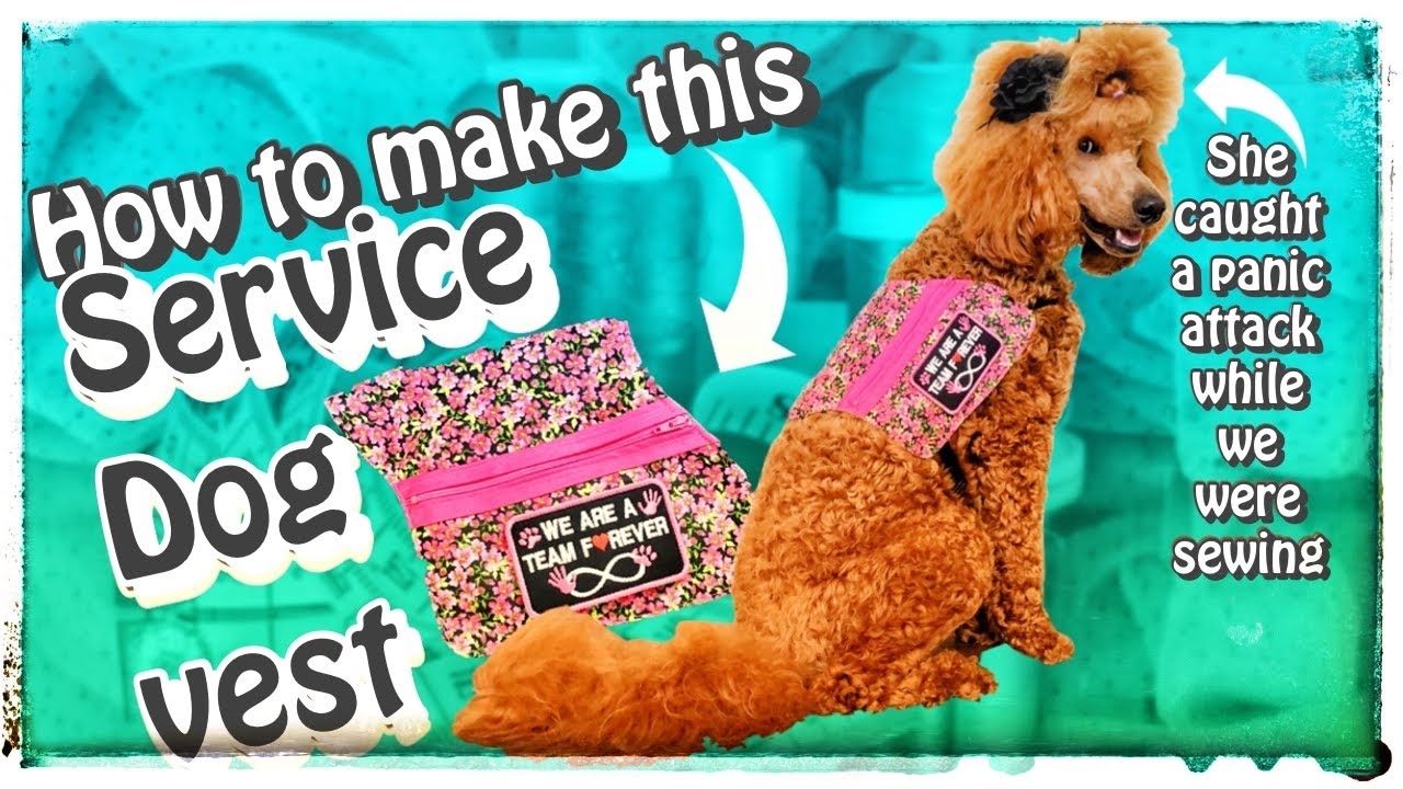 Service Dog vest sewing tutorial & Pharaby helped me with a panic attack #servicedoggear