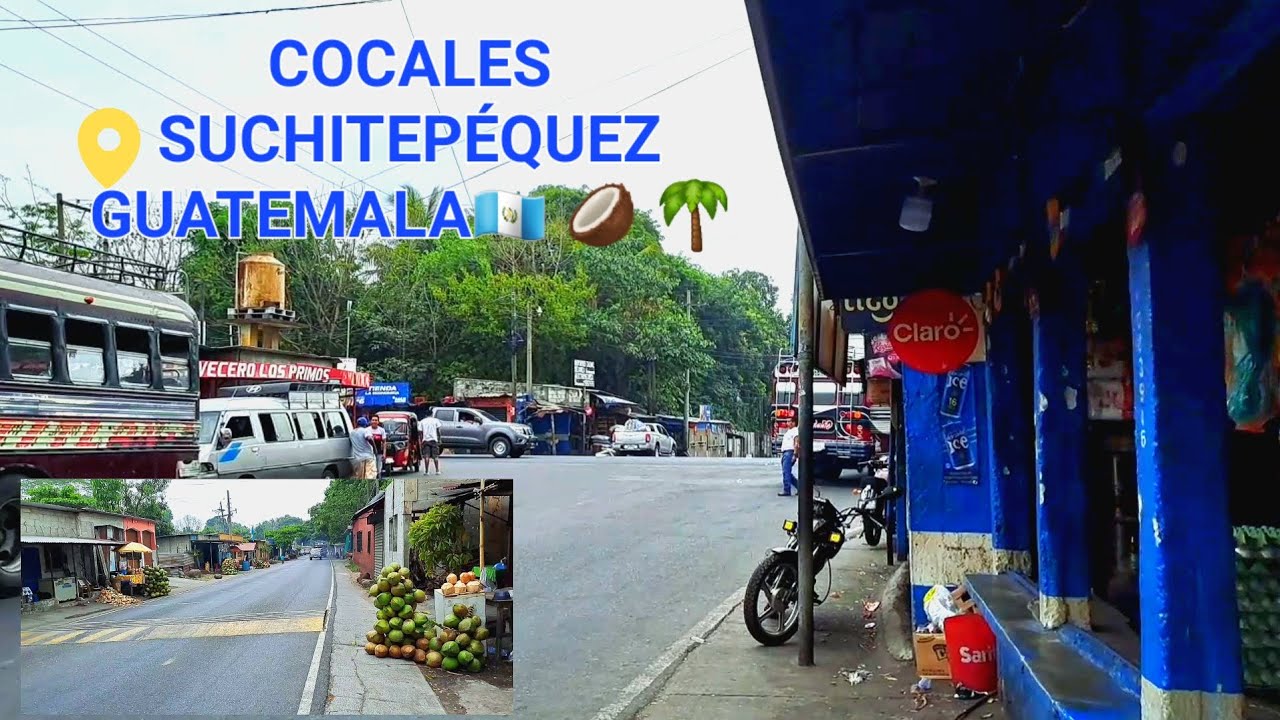 COCALES SUCHITEPÉQUEZ GUATEMALA 🇬🇹🥥🌴