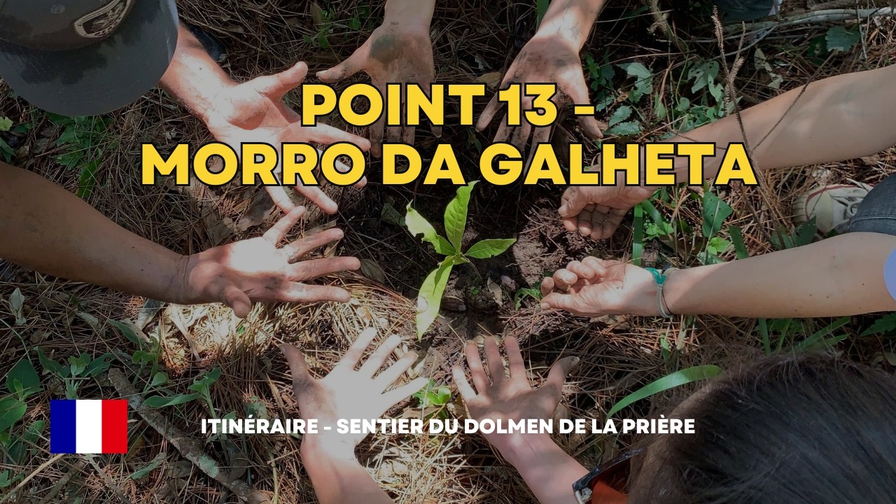 🌿 Morro da Galheta — mémoire ancestrale et restauration de la nature 🌿