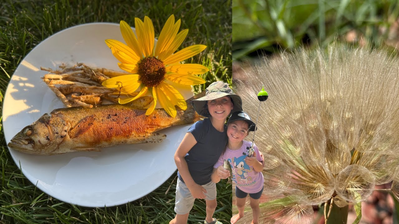 We foraged￼ some YELLOW SALSIFY ROOTS. KIds catch fish, gut, wash, prepare and cook them. 