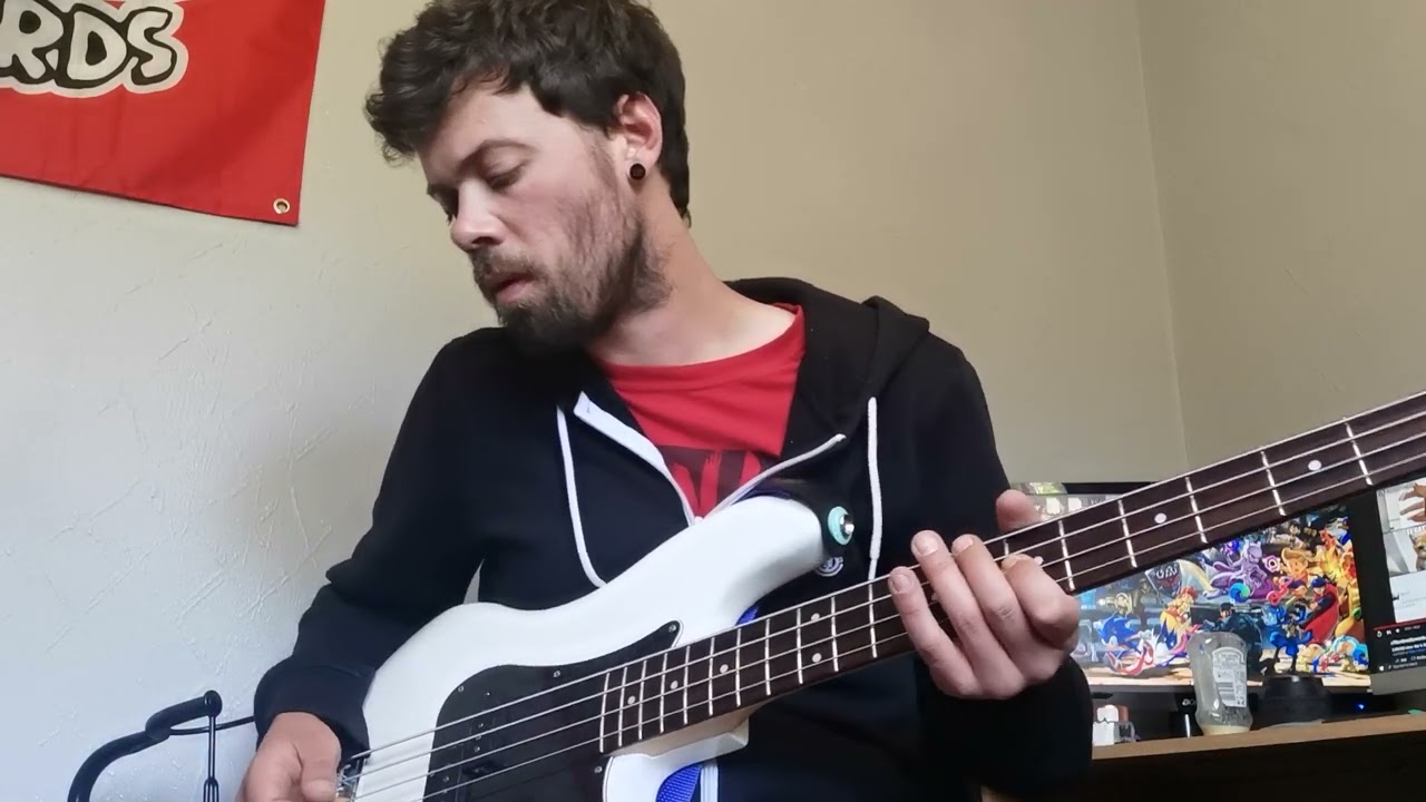 MOOER GROOVE LOOP X2 - Bass Looping Improv with guest vocals from my dog - JPBass64