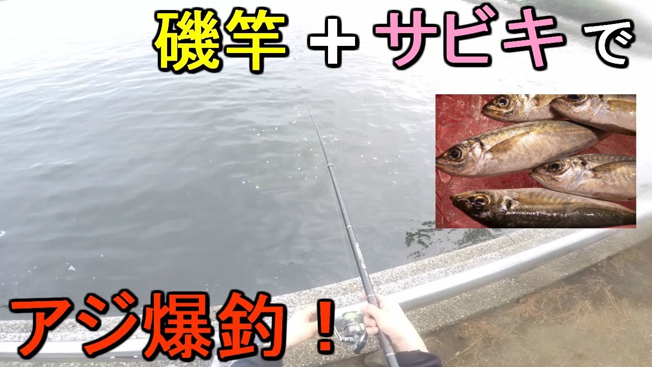 【八景島横浜南公園】東京湾にアジ回遊中！アジのハイシーズンに磯竿とサビキ釣り仕掛けでアジを狙い撃つ！【2019.08.22】