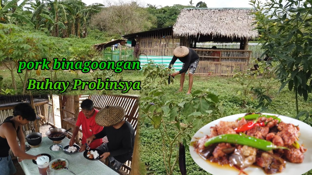 Pork Binagoongan Recipe/Country Side Cooking/Lutong Probinsya