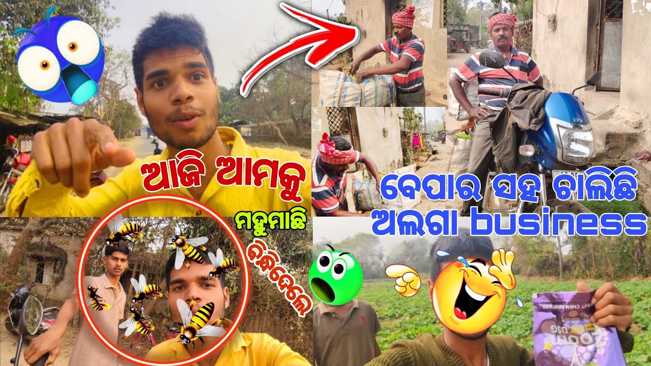 ଆଜି ଆମକୁ ମହୁମାଛି ଆକ୍ରମଣ କଲେ 🥲 ବେପାର ସହ ଭାଇ ର Buisness ଚାଲିଛି 💥😀❤️