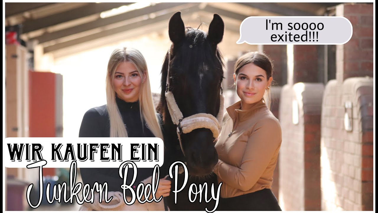 WIR KAUFEN EIN JUNKERN BEEL PONY! 🐴❤️ - ABHOLUNG // ASKINO CONSAS & @Chaosponyy