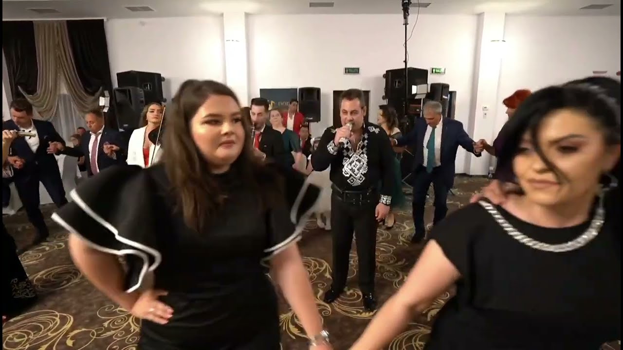 IONUȚ DOLĂNESCU LIVE || Casa părintească || Colaj