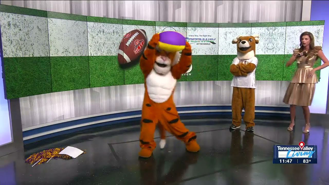 Mascot Dance Battle