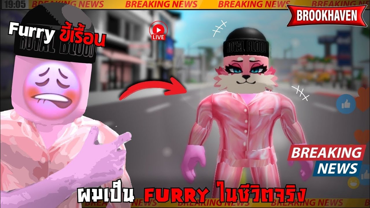 Roblox : Brookhaven l วันนี้ผมมาเป็น Furry ในชีวิตจริง 1 วัน...
