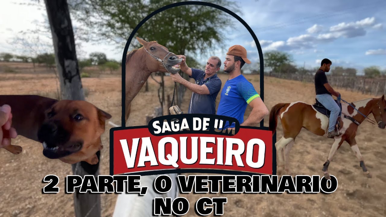 Parte 2, um veterin&aacute;rio no CT 😷💉🐴