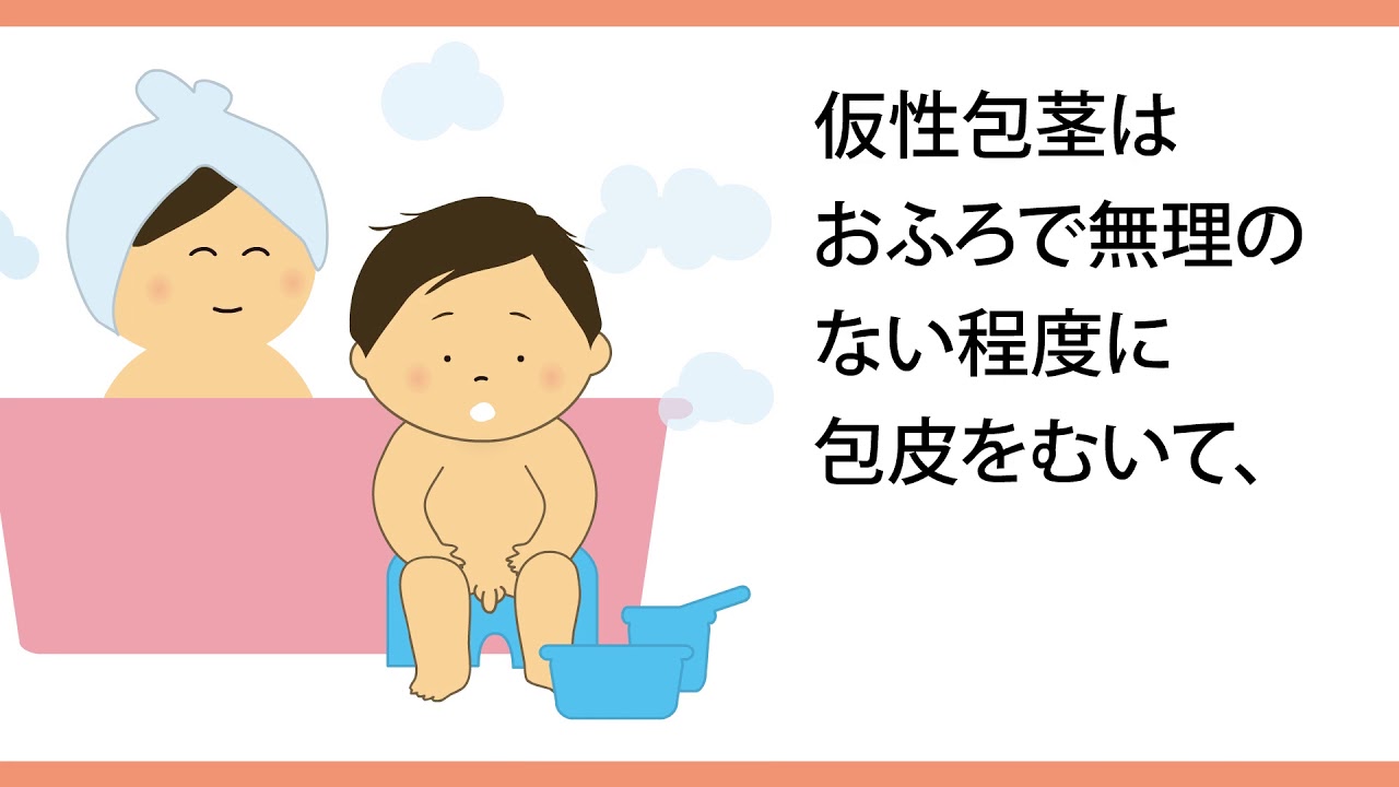 【小児科】包茎　包皮の状態と洗い方