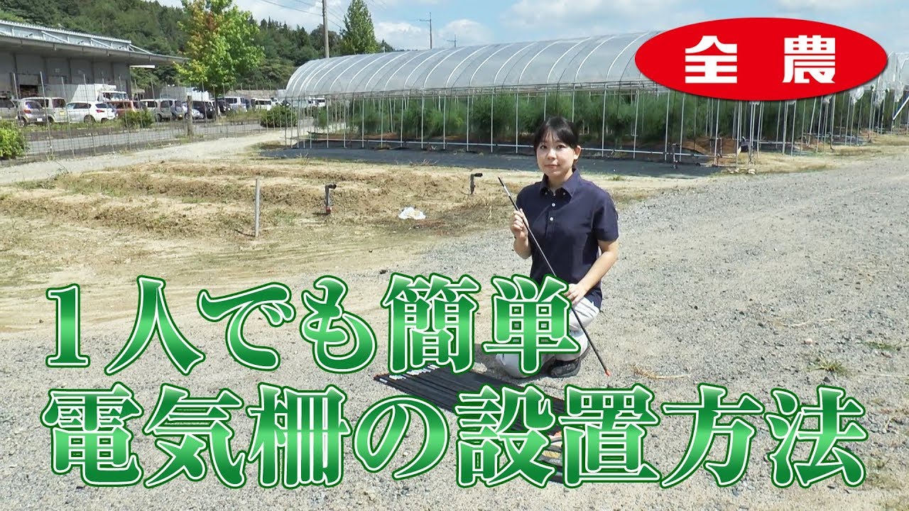 1人でも簡単　電気柵の設置方法　鳥獣害　全農