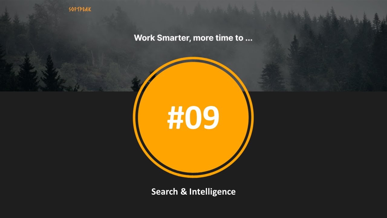 SoftPeak #9 - Search & Intelligence