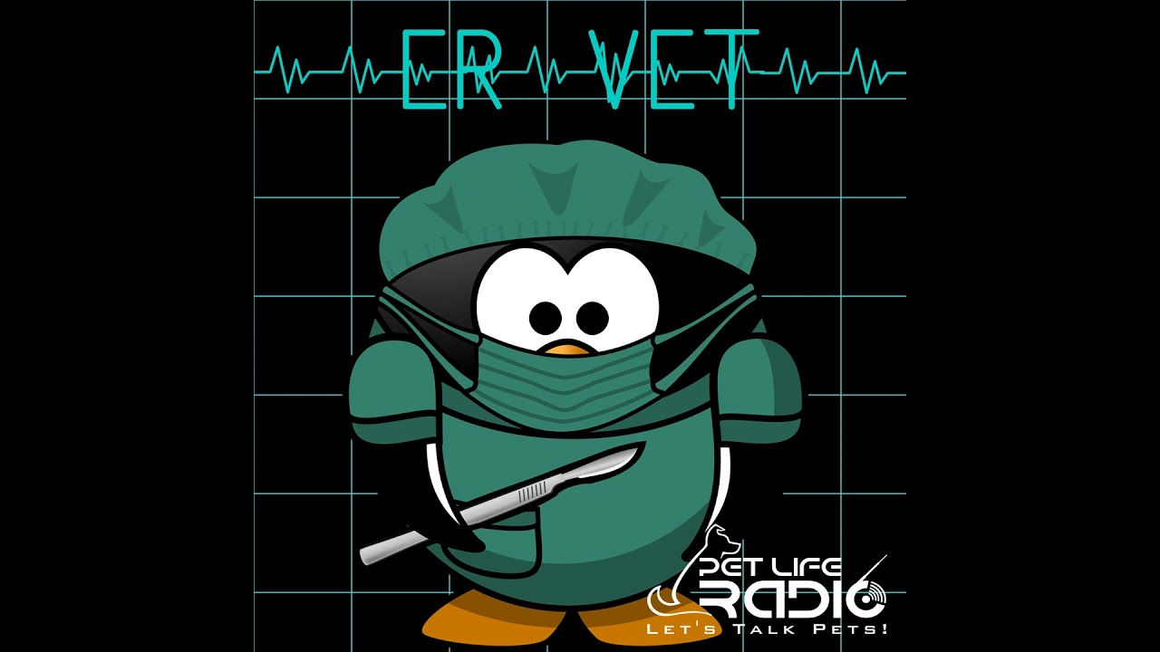 ER Vet - Episode 114 Pancreatitis In Cats