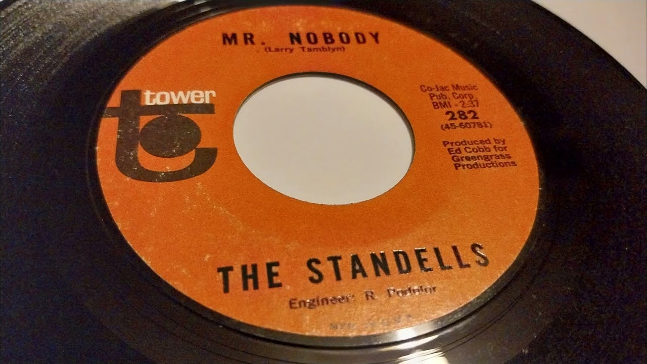 The Standells - Mr Nobody