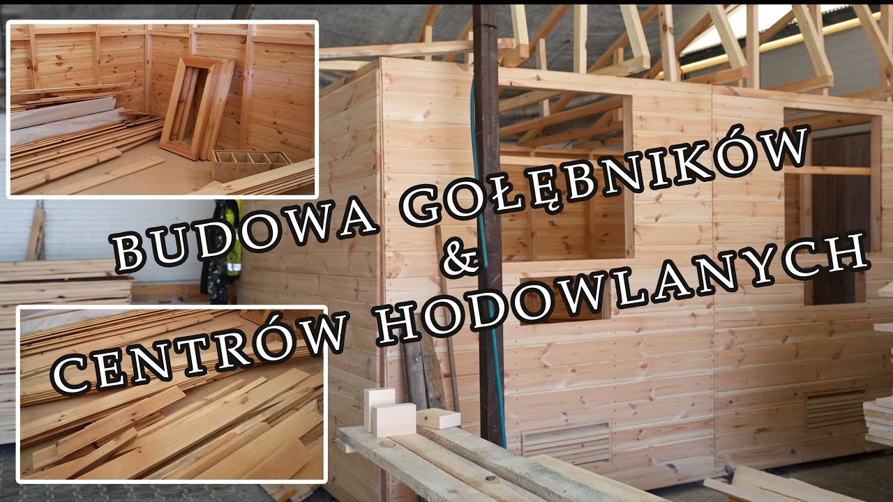BUDOWA GOŁĘBNIKÓW & CENTRÓW HODOWLANYCH