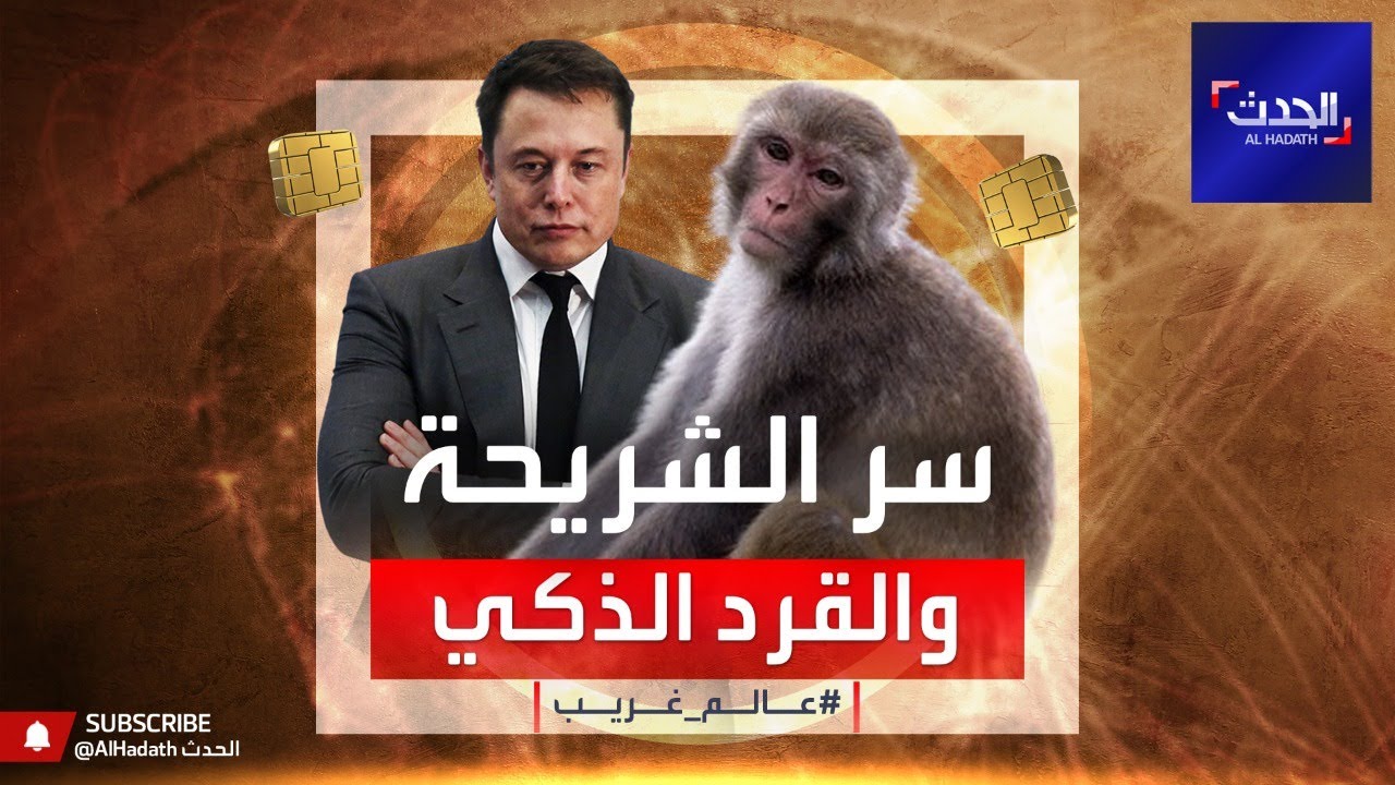 نجاح زراعة الشريحة في الدماغ.. والقرد لعب الـ