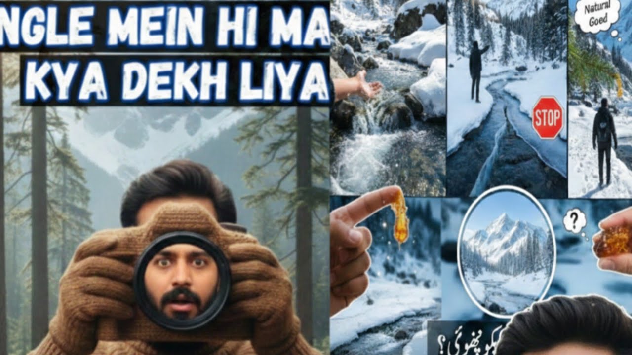 Yah kya dekh🌳☁ liya jungle🌲🌲 mein
