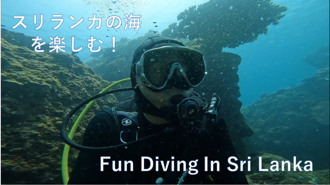 ADR Diving Sri Lanka Diving スリランカダイビング　Trincomalee 2022 トリンコマリー