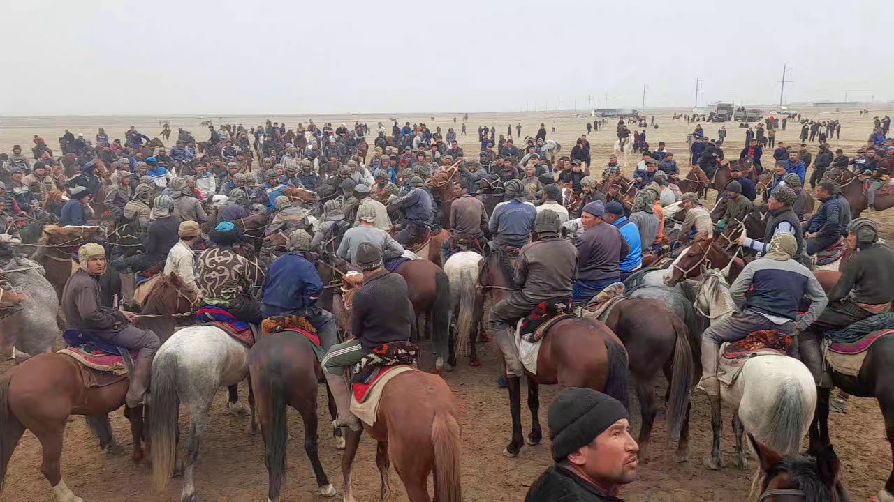 2021 03 12 ILYOS VA QODIRLARIDI KUPKARISIDAN PARCGA TOMOSHA QILING BIZGA QUSHILING