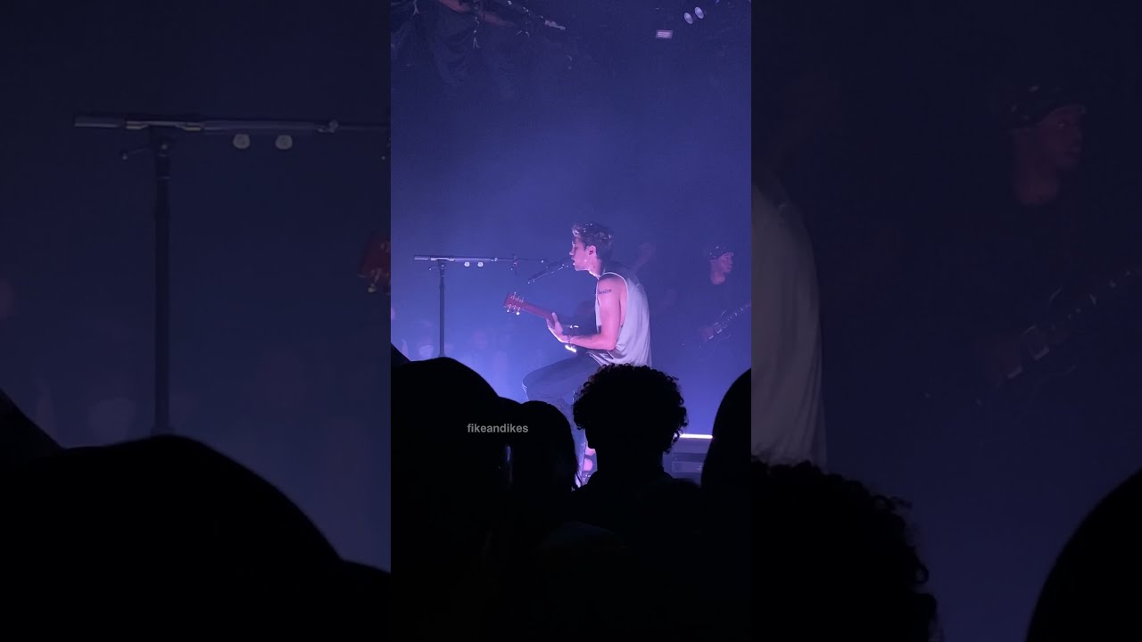 Dominic Fike - Your Body is A Wonderland Cover @ THE ROXY