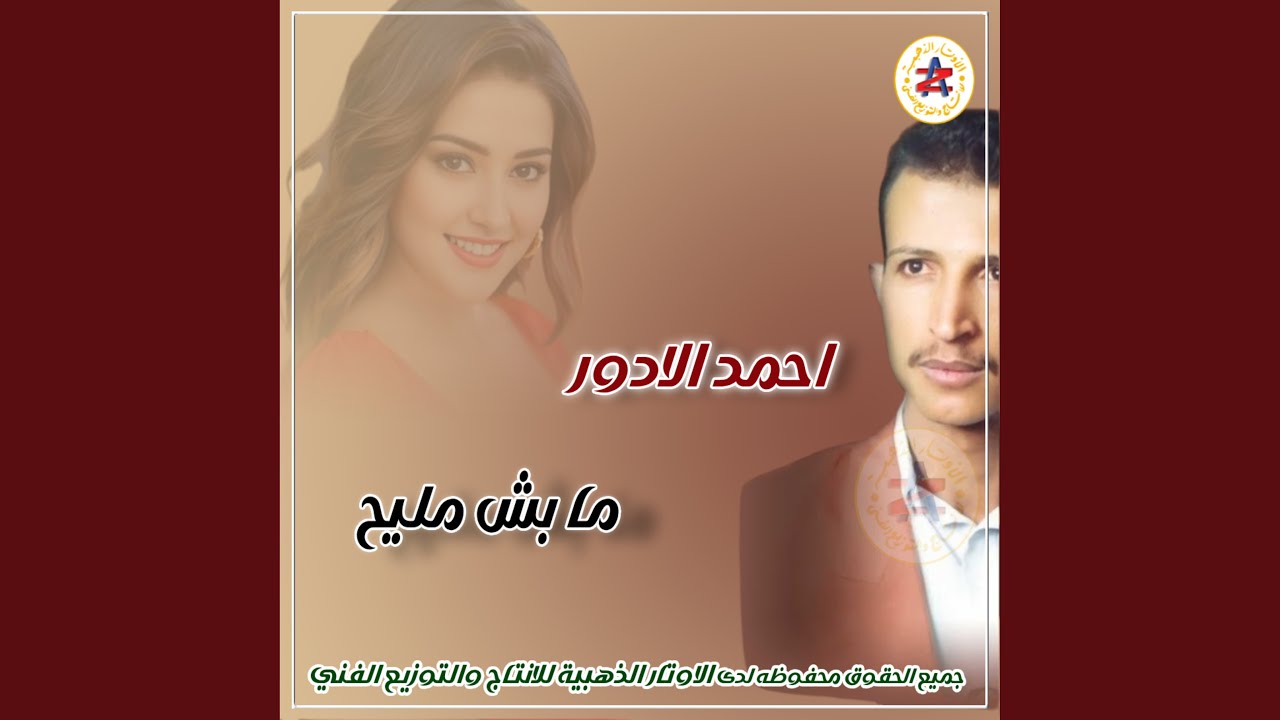 قلبي يهواك