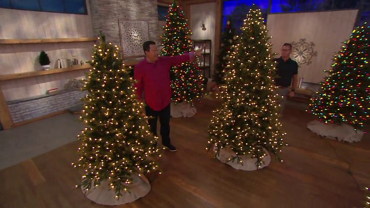 Bethlehem Lights Incandescent Sequoia Christmas Tree on QVC
