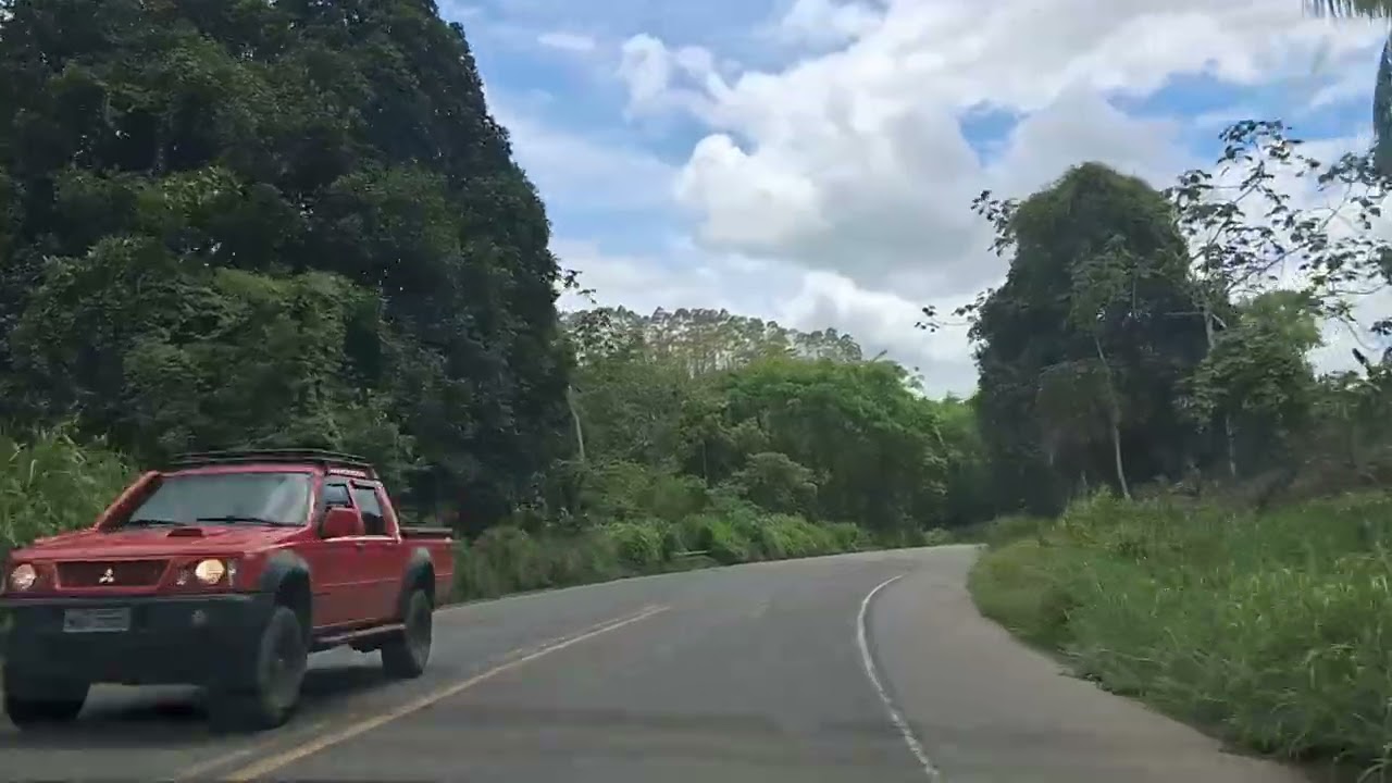 Un camino en silencio entre la naturaleza | Solo mira… y siente la belleza de la creación