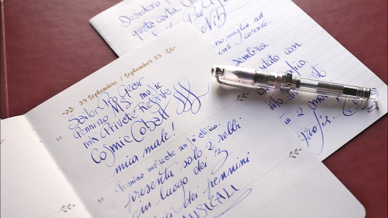 Sailor music nib MS oro vs acciaio