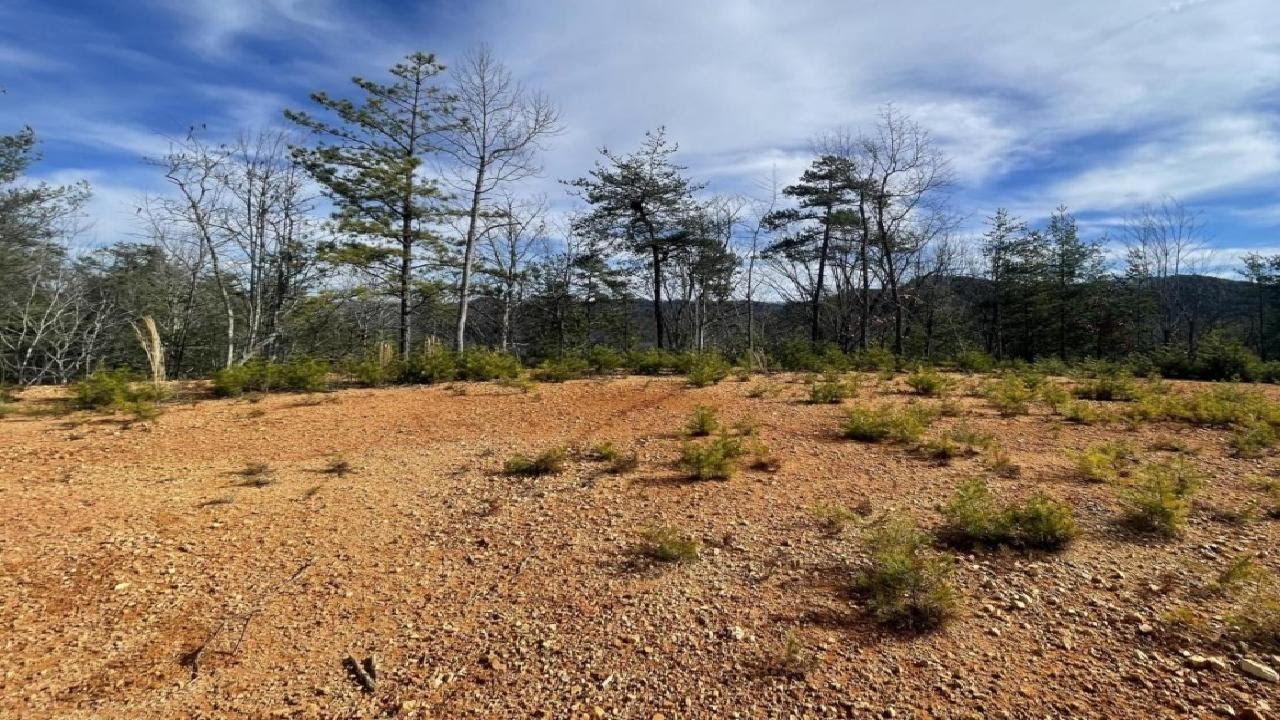 Bullet Mountain Drive lot: 36, Tellico Plains, TN Presented by Melissa Wiseman.