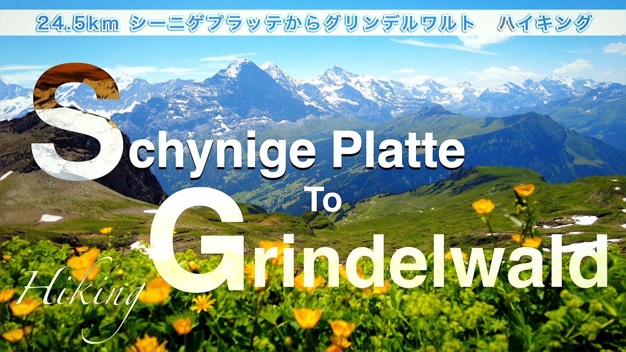 【SWITZERLAND】スイスのいっちばん美しいハイキングコースに行って来た！Schynige Platte - Bachalpsee - Grindelwald