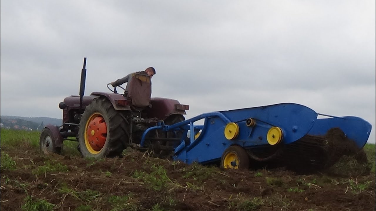 Jesienne Wykopki 2017 ☆ Agromet z609 & Zetor 3011 ㋡