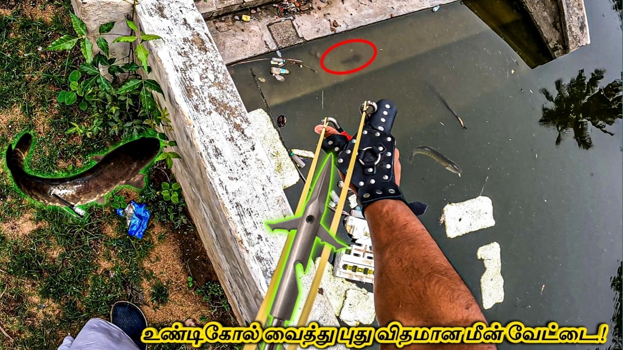 🎯உண்டிகோல் வைத்து எப்படி மீன் அடிப்பது‌? / Slingshot Fishing Tamil | How To Shoot Fishing #catapult