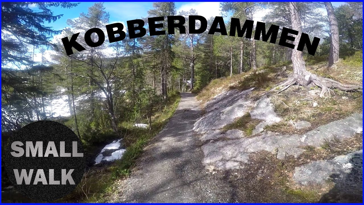 Small Walk around Kobberdammen/Trondheim 21.05.02
