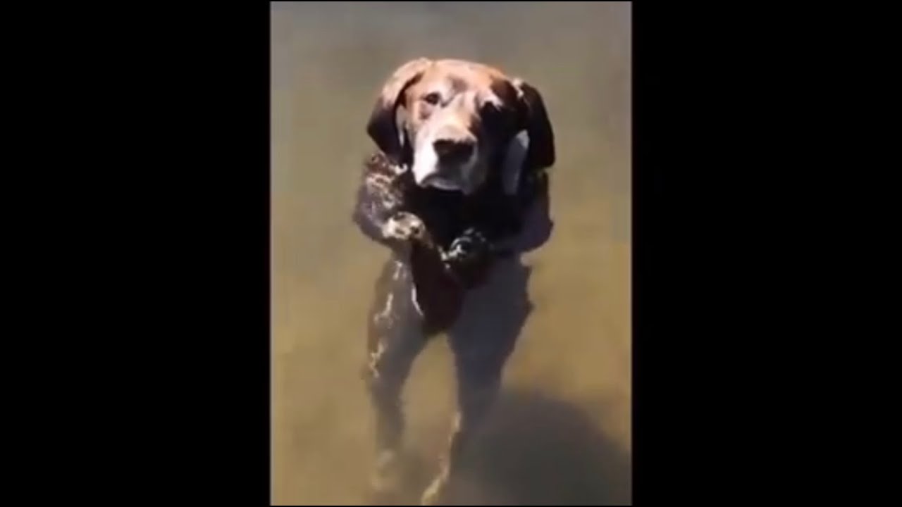 Totally random videos that saves your times | 131216 video | instagram steels video
