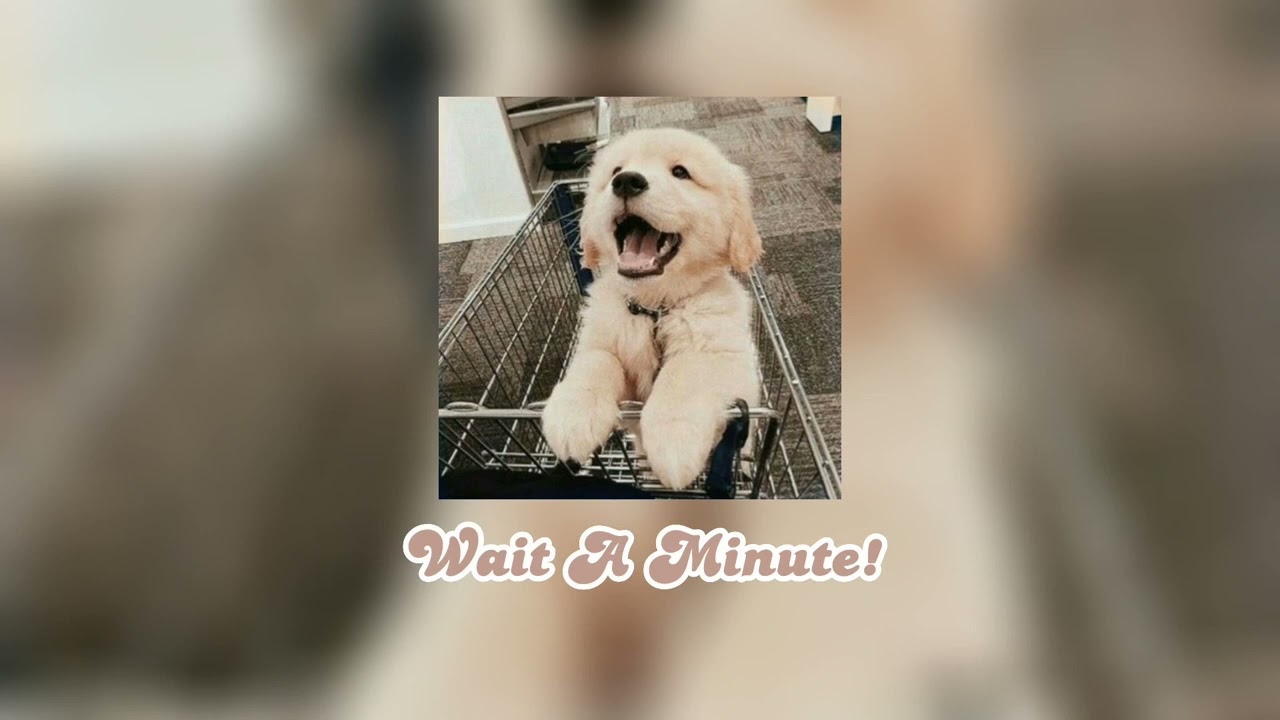 Playlist Of Songs That'll Make You Smile