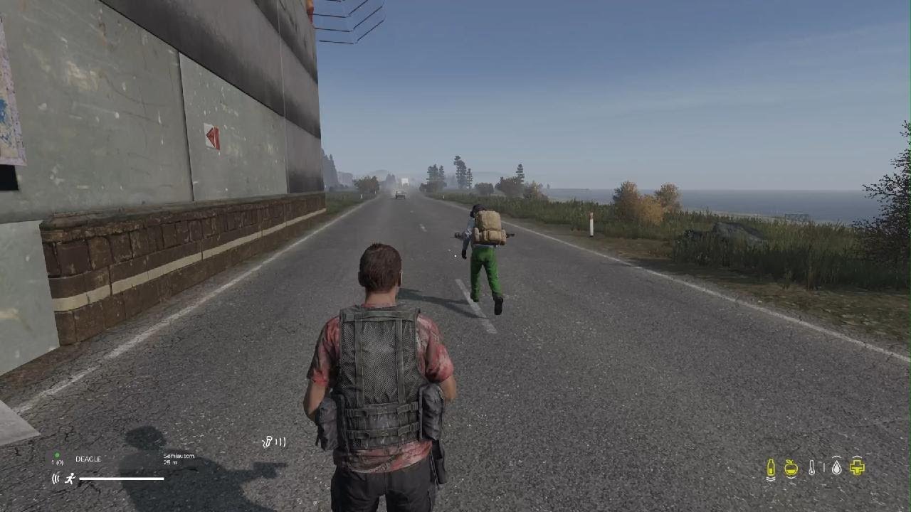 DayZ_20260204143231