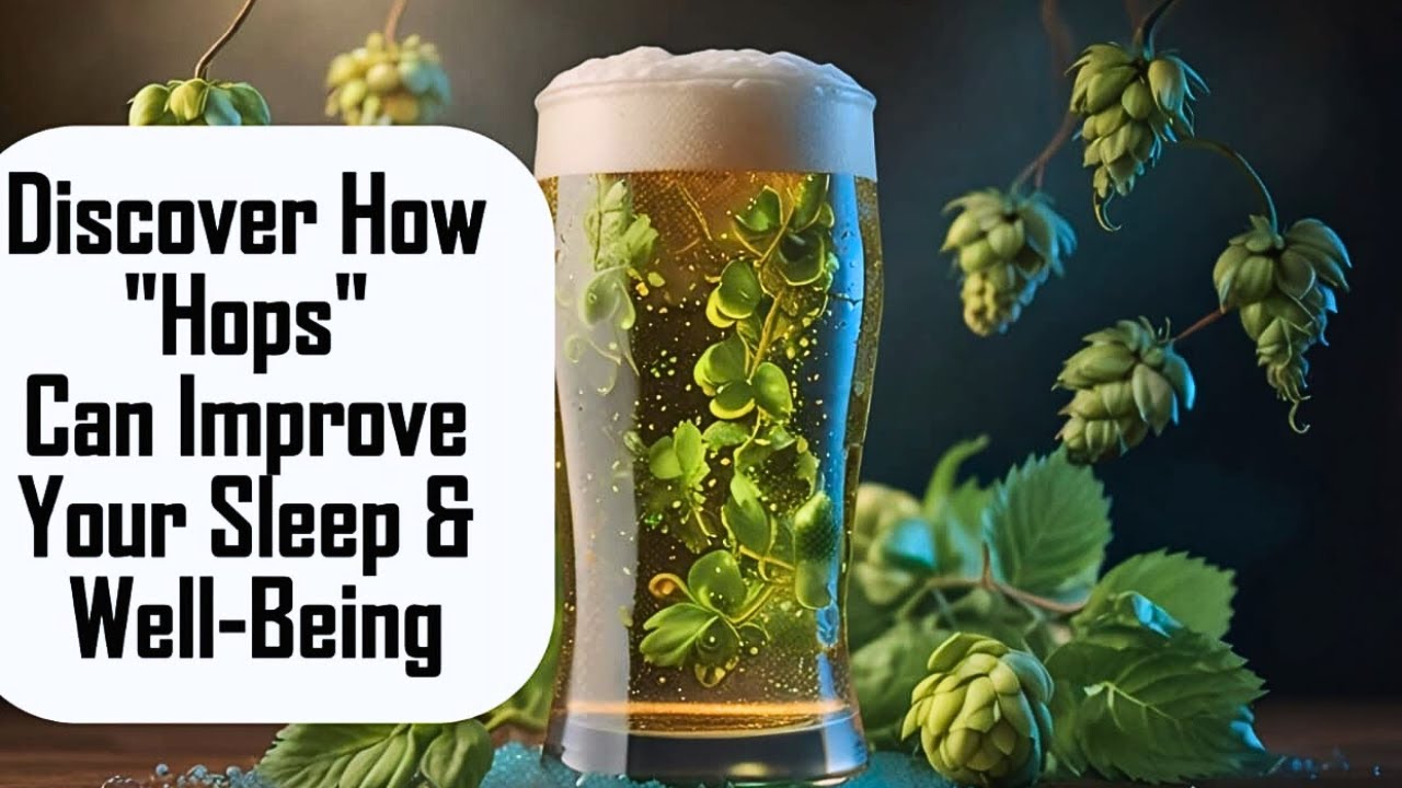 Hops Spiritual and Medicinal Meaning