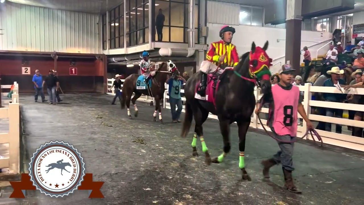 2023 Delta Downs Louisiana-Bred Derby(RG3)- StallioneSearch.com