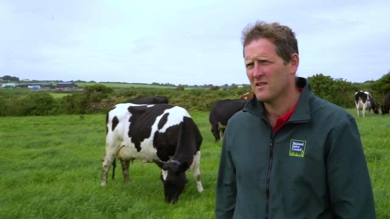 Meet Irish Dairy Farmer Niall Moore, Co. Waterford