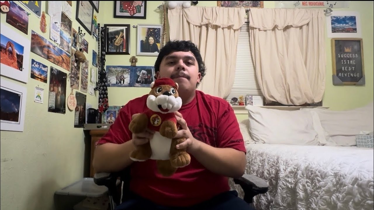 Showing you all my pillows and plushies ! 