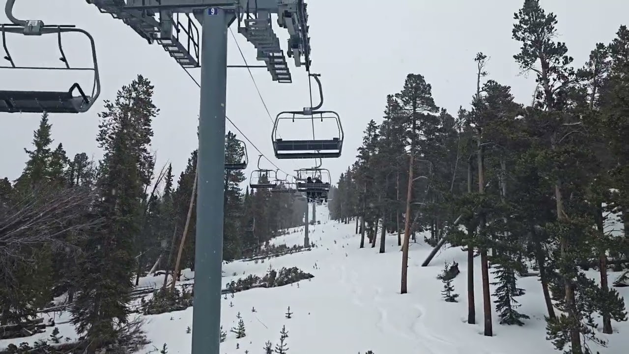 Wayback Lift Chair Number #117