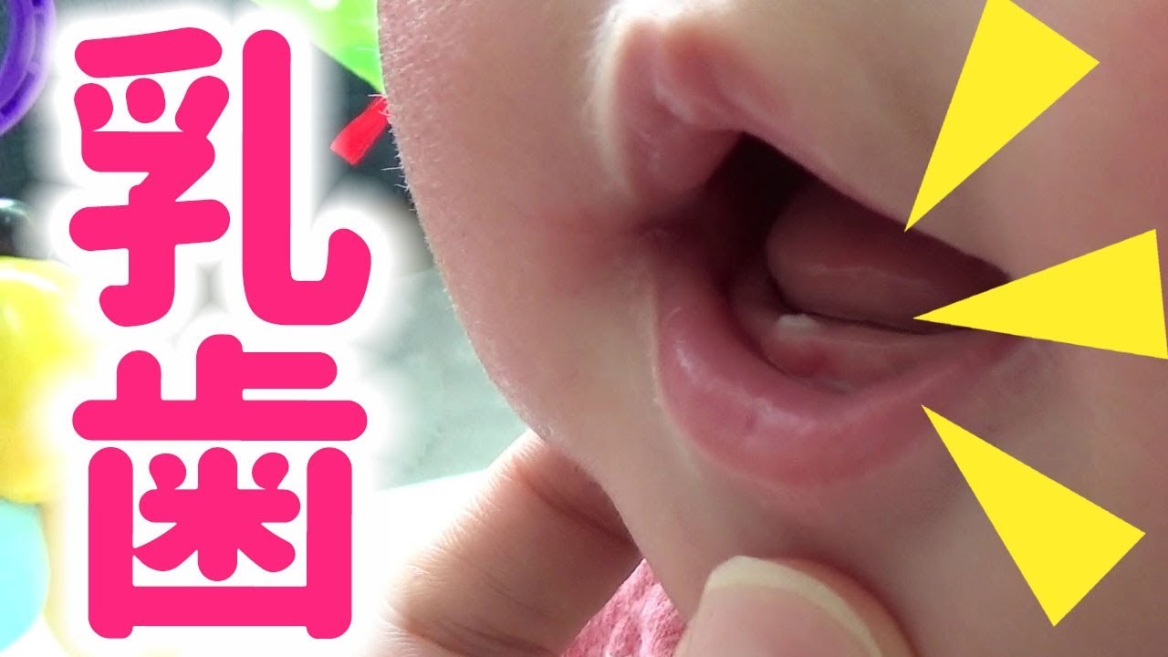 生後6ヶ月赤ちゃん 乳歯が生えてきた！　Baby tooth have grown!【Japanese girl 6 months old!】